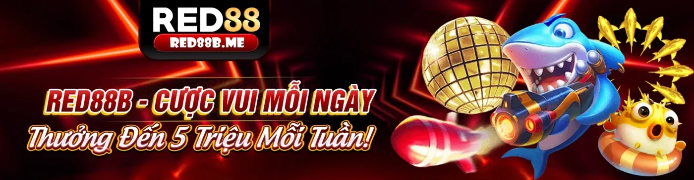 Cá cược thể thao oa888 sôi động